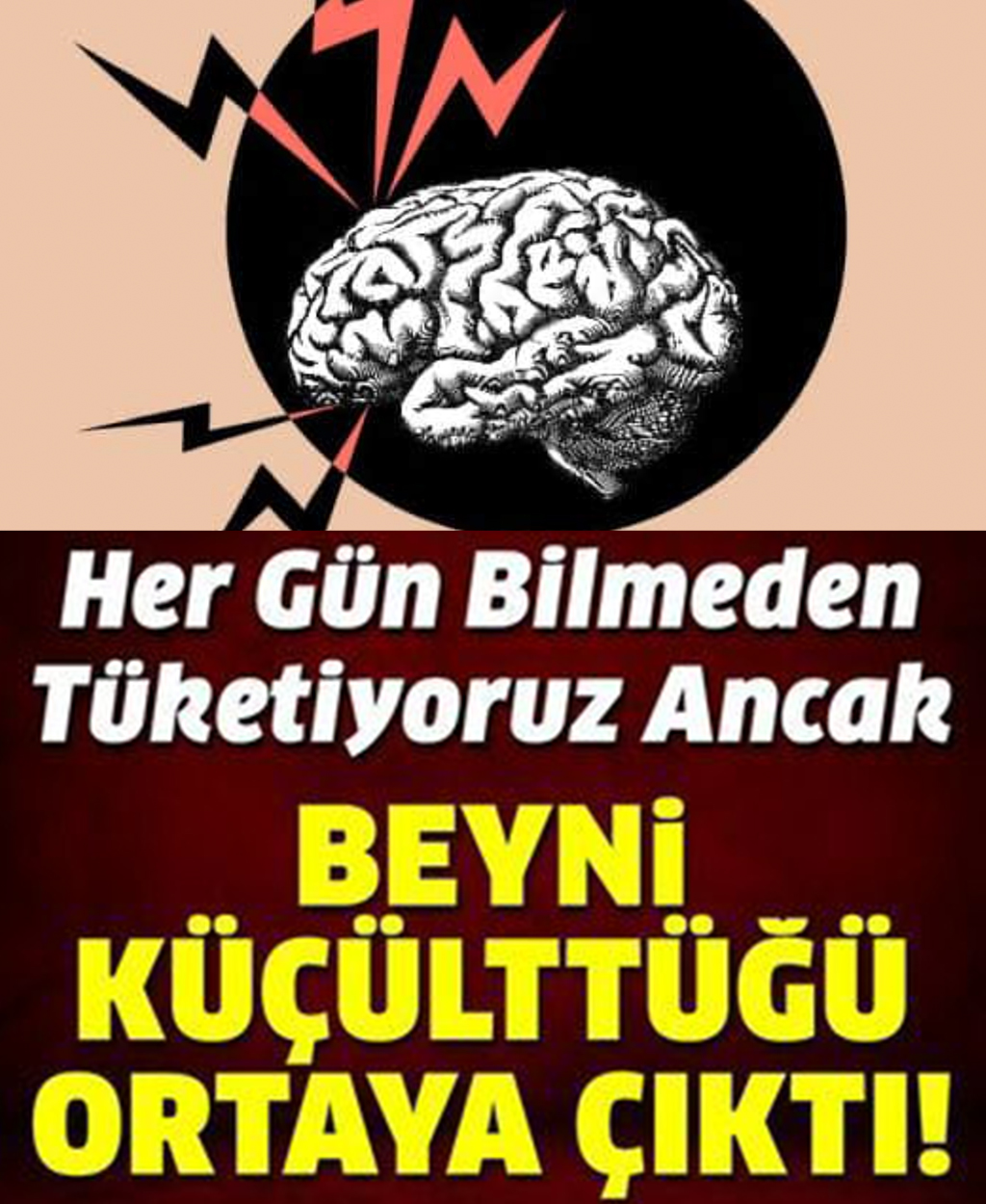 Hepimiz bilmeden her gün tüketiyoruz ancak beyni küçültüyor - 1