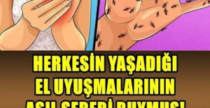 El Uyuşmasının Asıl Sebebi bakın nelere yol açıyor