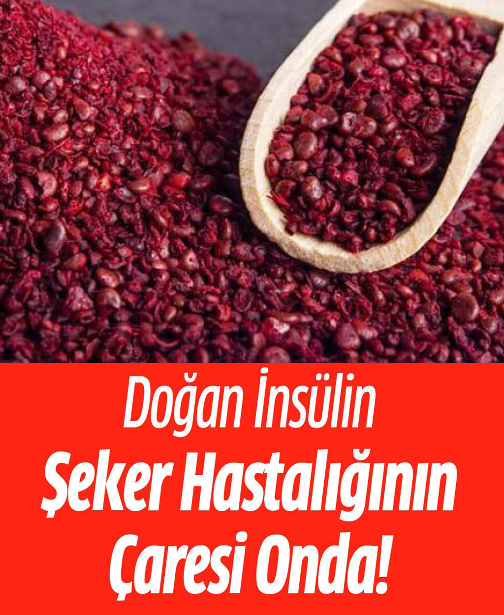Şeker Hastalığının Çaresi Onda - 1