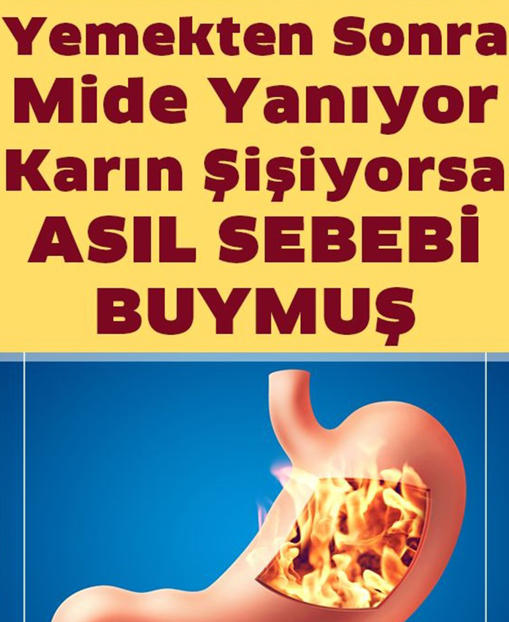 Mide Şişkinliği Ve Hazımsızlığın Asıl Sebebi - 1