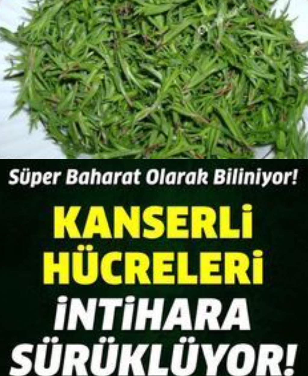 Süper Baharat Olarak Biliniyor - 1